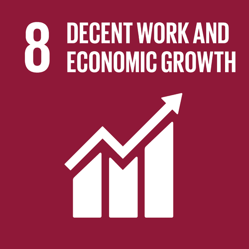 Decent Work and Economic Growth (SDG 8)