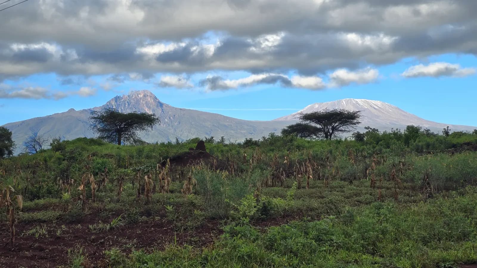 Moran Farms at the foot of Mount Kilimanjaro